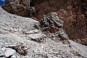 IMG_4881.JPG