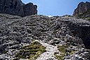IMG_4967.JPG