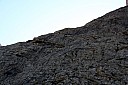 IMG_4971.JPG