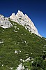IMG_4978.JPG