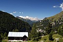 IMG_5035.JPG