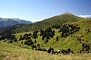 IMG_5042.JPG