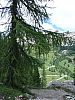 DSC01340.JPG