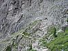 DSC01345.JPG