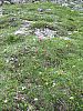 DSC01347.JPG