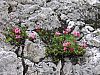 DSC01349.JPG