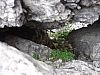 DSC01358.JPG