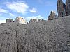 DSC01381.JPG