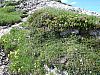DSC01404.JPG