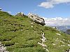 DSC01407.JPG