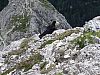 DSC01419.JPG