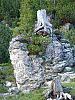 DSC01434.JPG