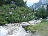 DSC01435.JPG