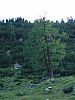 DSC01442.JPG