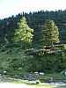 DSC01446.JPG