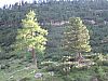 DSC01451.JPG