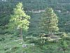 DSC01452.JPG