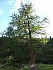 DSC01453.JPG