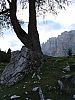 DSC01456.JPG