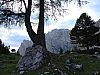 DSC01457.JPG