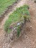 DSC01469.JPG