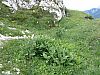DSC01478.JPG