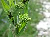 DSC01479.JPG