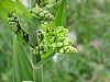 DSC01480.JPG