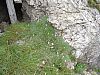 DSC01484.JPG