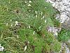 DSC01485.JPG