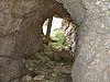 DSC01489.JPG