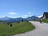 DSC01536.JPG