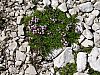 DSC01560.JPG