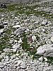 DSC01566.JPG