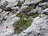 DSC01569.JPG