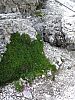 DSC01609.JPG
