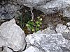 DSC01610.JPG