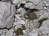 DSC01619.JPG