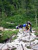 IMG_5503.JPG