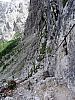 IMG_5519.JPG