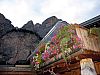 IMG_5545.JPG