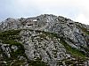 IMG_5553.JPG