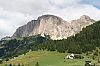 IMG_7029.JPG