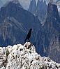 IMG_7147.JPG