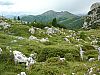 P1000692.JPG