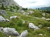 P1000693.JPG