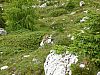 P1000699.JPG