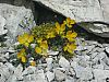 P1000783.JPG