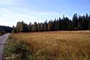 IMG_1200.JPG