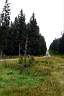 P1010350.JPG